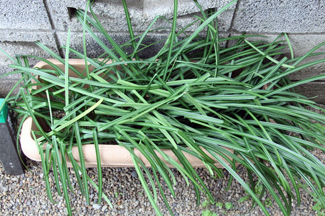 f:id:takahikonojima:20200310205231j:plain