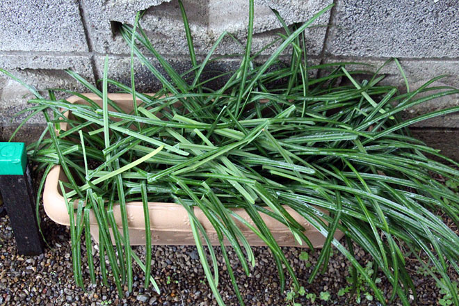 f:id:takahikonojima:20200314194623j:plain