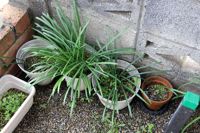 f:id:takahikonojima:20200314194628j:plain