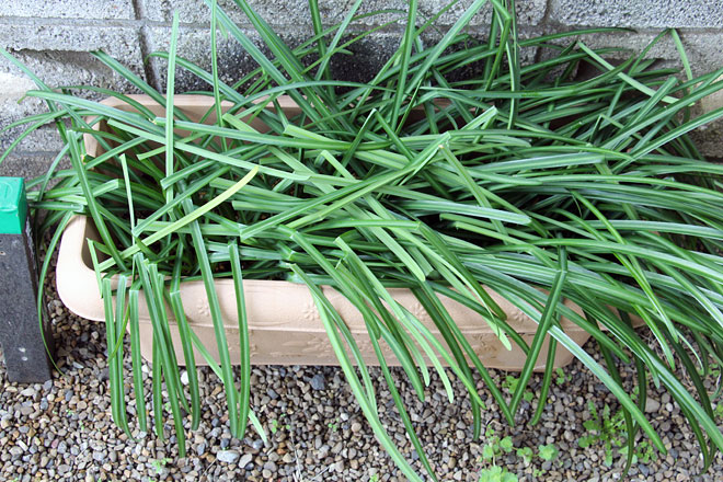 f:id:takahikonojima:20200314194635j:plain