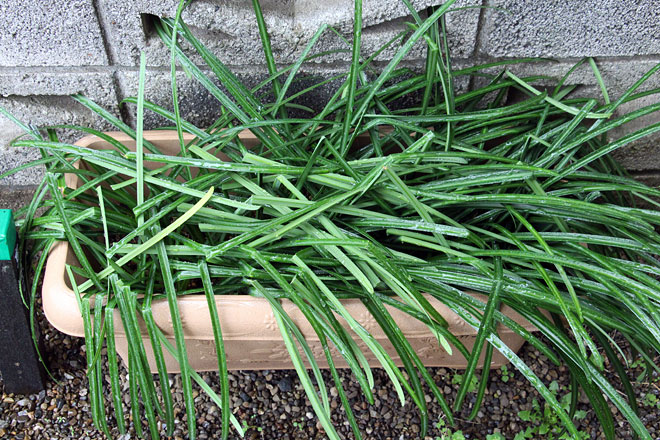 f:id:takahikonojima:20200314194648j:plain