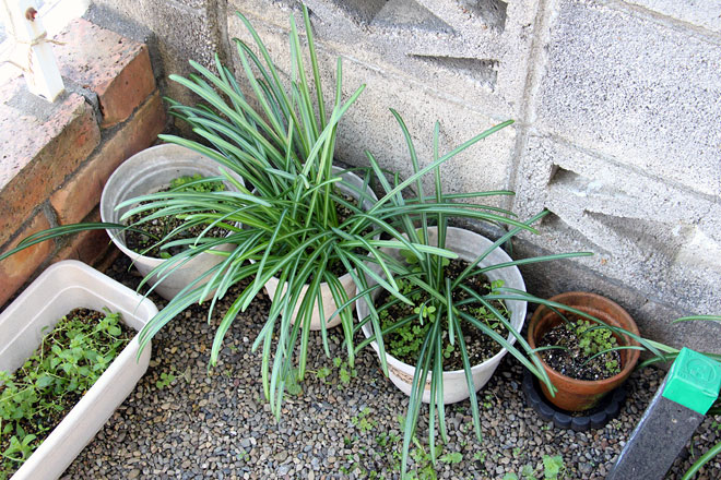 f:id:takahikonojima:20200314194653j:plain