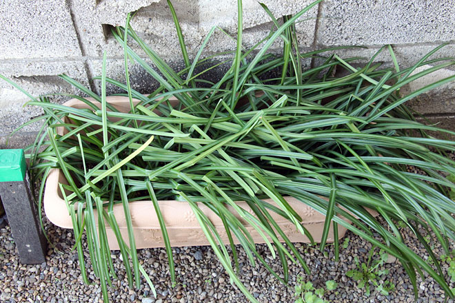 f:id:takahikonojima:20200314194658j:plain