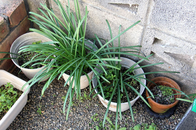 f:id:takahikonojima:20200314194704j:plain