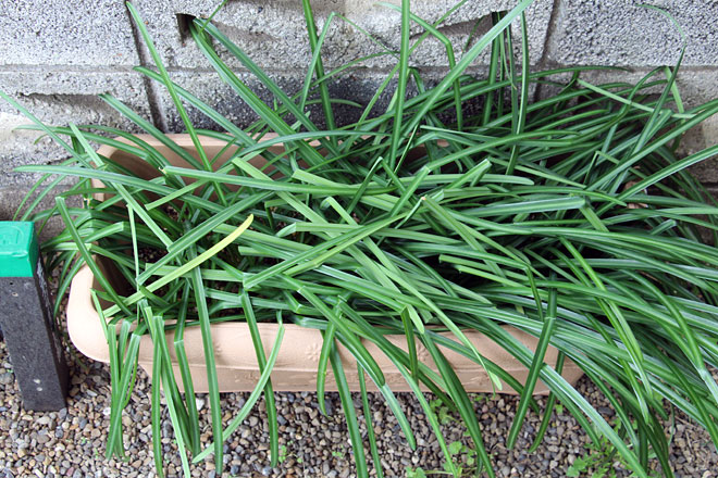 f:id:takahikonojima:20200314194721j:plain