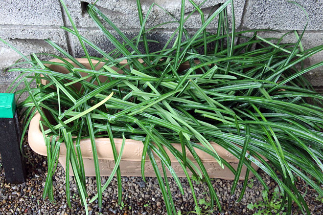 f:id:takahikonojima:20200314194731j:plain