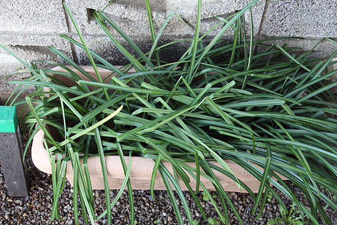 f:id:takahikonojima:20200322101252j:plain