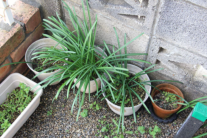 f:id:takahikonojima:20200322101302j:plain