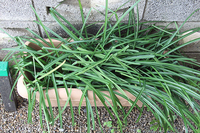 f:id:takahikonojima:20200322101309j:plain