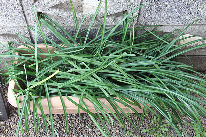 f:id:takahikonojima:20200322101328j:plain