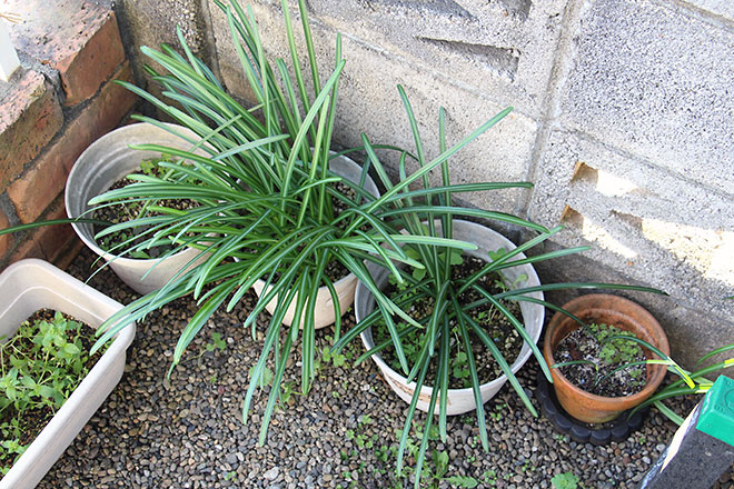 f:id:takahikonojima:20200322101338j:plain