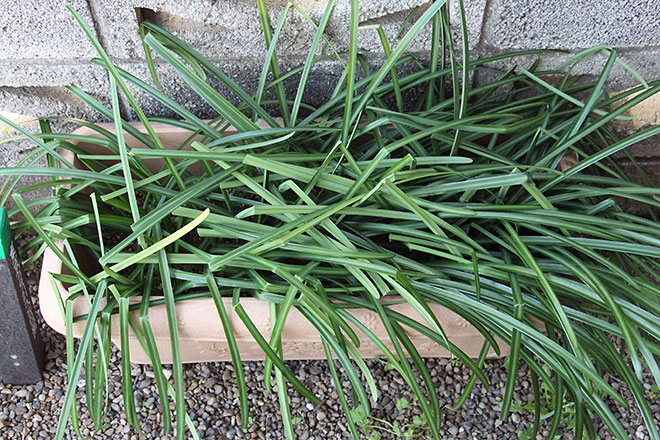 f:id:takahikonojima:20200322101401j:plain