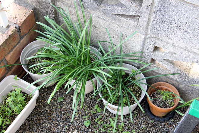 f:id:takahikonojima:20200322101416j:plain