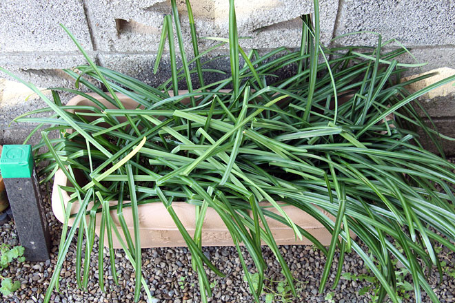 f:id:takahikonojima:20200322101423j:plain