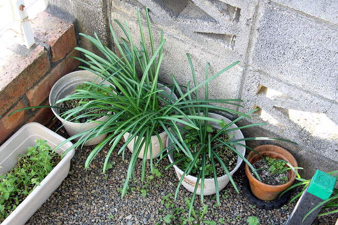 f:id:takahikonojima:20200322101435j:plain