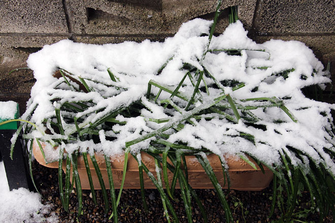 f:id:takahikonojima:20200407172738j:plain