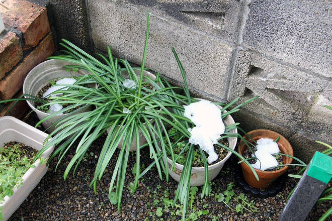 f:id:takahikonojima:20200407172745j:plain