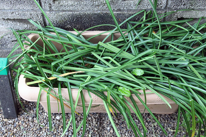 f:id:takahikonojima:20200419095733j:plain