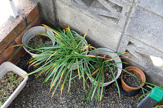 f:id:takahikonojima:20200510083130j:plain