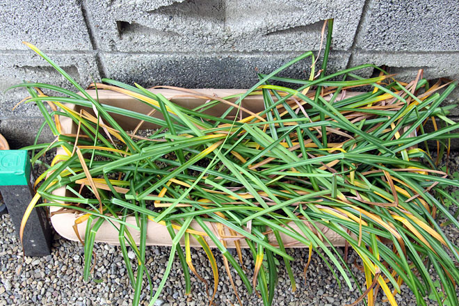 f:id:takahikonojima:20200512060520j:plain