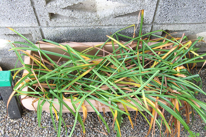 f:id:takahikonojima:20200513082234j:plain