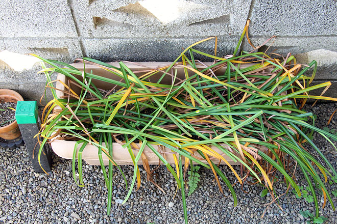 f:id:takahikonojima:20200514075703j:plain