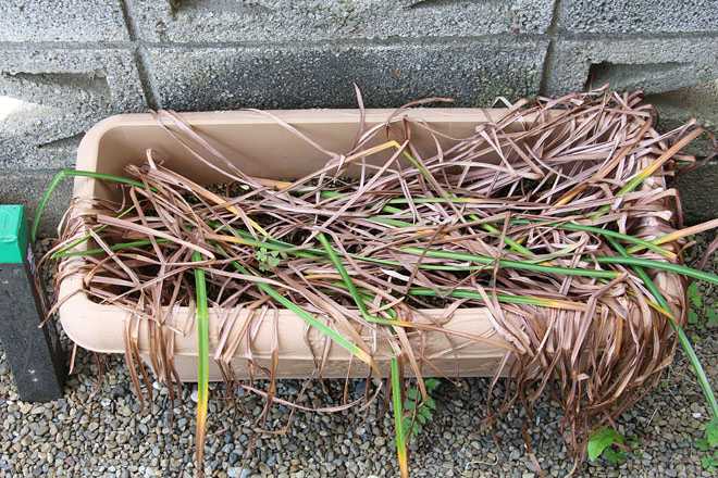 f:id:takahikonojima:20200524083736j:plain