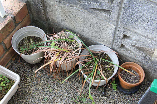 f:id:takahikonojima:20200525084622j:plain