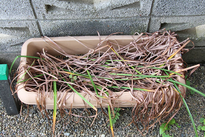 f:id:takahikonojima:20200525084626j:plain