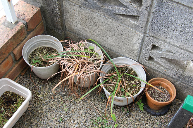 f:id:takahikonojima:20200526085104j:plain