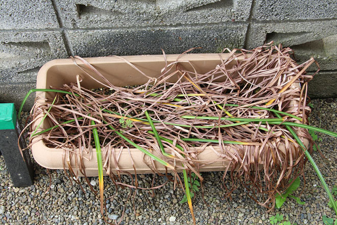 f:id:takahikonojima:20200526085108j:plain