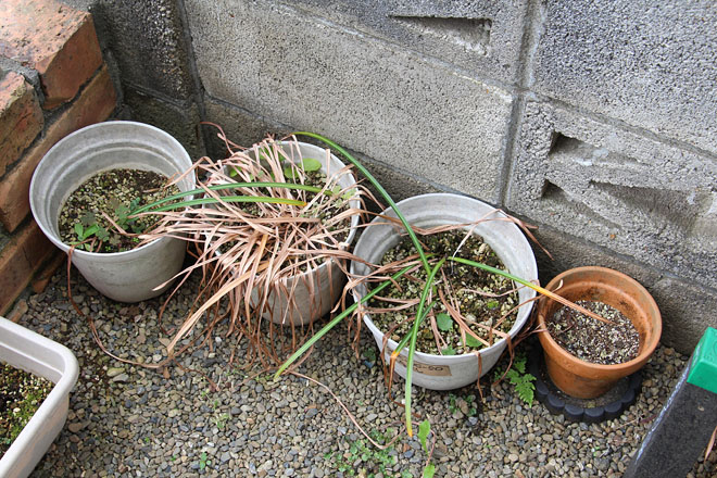 f:id:takahikonojima:20200527121701j:plain