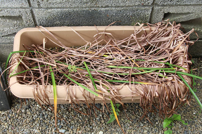 f:id:takahikonojima:20200527121703j:plain