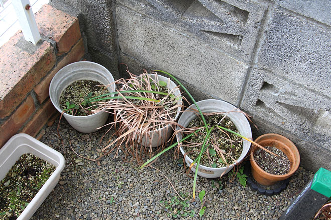 f:id:takahikonojima:20200528072244j:plain