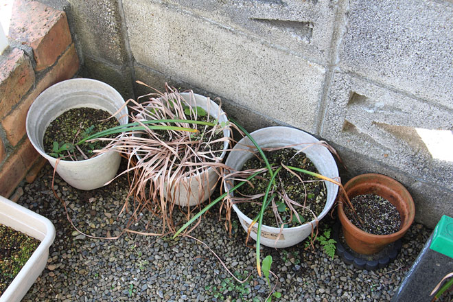 f:id:takahikonojima:20200529080217j:plain