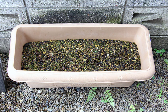 f:id:takahikonojima:20200621082207j:plain