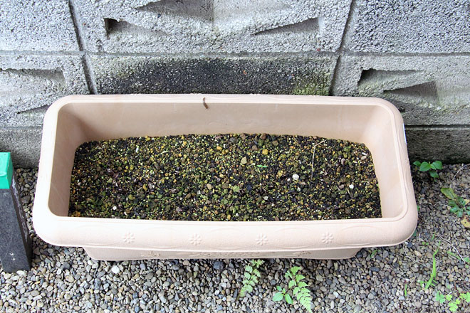 f:id:takahikonojima:20200624072134j:plain