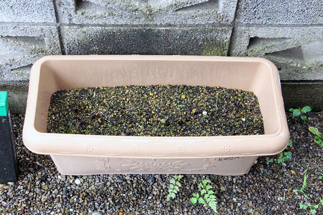 f:id:takahikonojima:20200625072520j:plain