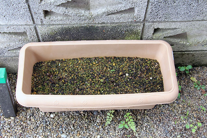 f:id:takahikonojima:20200626073549j:plain