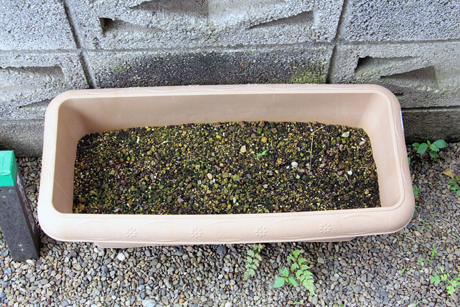 f:id:takahikonojima:20200627072702j:plain