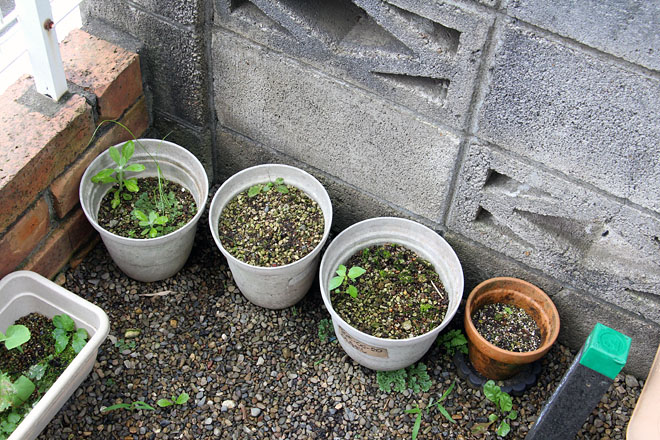 f:id:takahikonojima:20200713071748j:plain