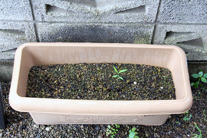 f:id:takahikonojima:20200714090121j:plain