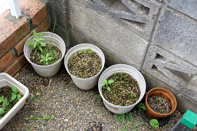 f:id:takahikonojima:20200716132502j:plain