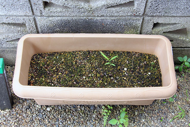 f:id:takahikonojima:20200716132505j:plain