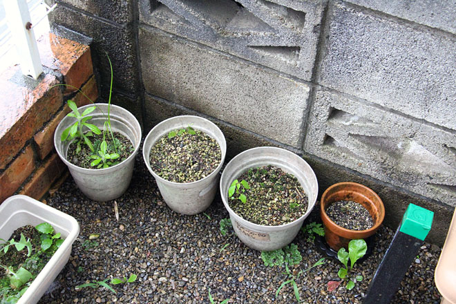 f:id:takahikonojima:20200718074421j:plain