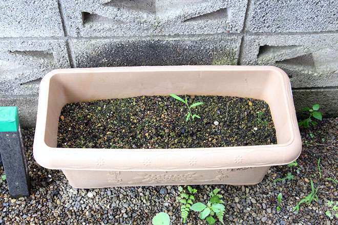 f:id:takahikonojima:20200721071844j:plain