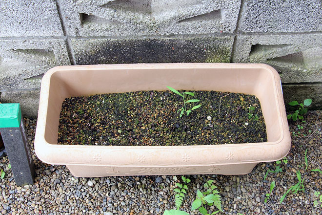 f:id:takahikonojima:20200724093734j:plain
