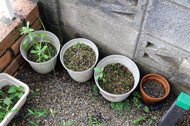 f:id:takahikonojima:20200727092646j:plain