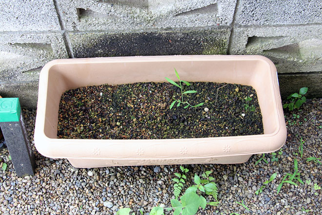 f:id:takahikonojima:20200727092649j:plain