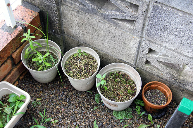 f:id:takahikonojima:20200728074422j:plain